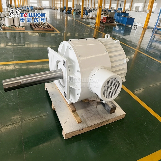 Medium-to-low-speed permanent magnet generator